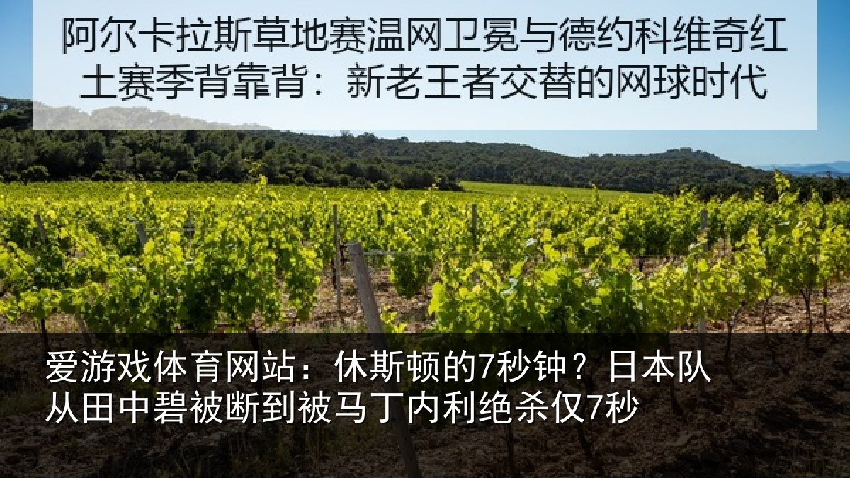 爱游戏体育网站：休斯相关情况田中相关情况利绝杀仅7秒