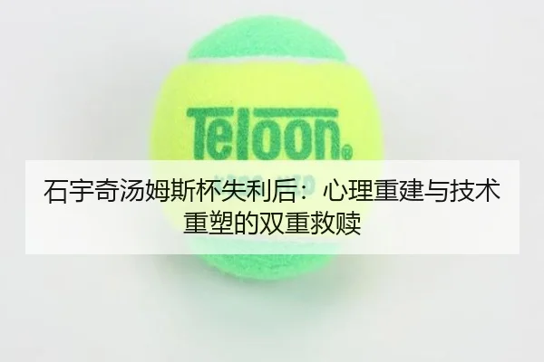 shi-yu-qi-tang-mu-si-bei-shi-li-hou-xin-li-chong-jian-yu-ji-shu-zhong-su-de-shuang-chong-jiu-shu-2-604.jpg