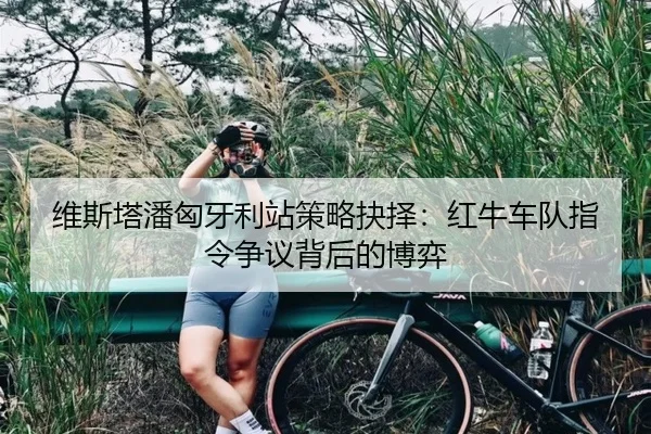 维斯塔潘匈牙利站策略抉择：红牛车队指令争议背后的博弈