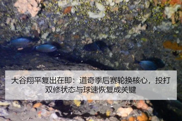 大谷翔平复出在即：道奇季后赛轮换核心，投打双修状态与球速恢复成关键